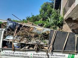 Best Hoarding Cleanup  in Buckeystown, MD