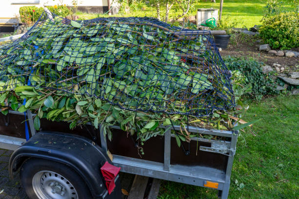 Best Same-Day Junk Removal Services  in Buckeystown, MD
